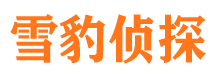 南涧市侦探公司